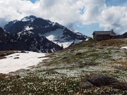 41 Baita di Monte Campo con Corna Piana ed Arera